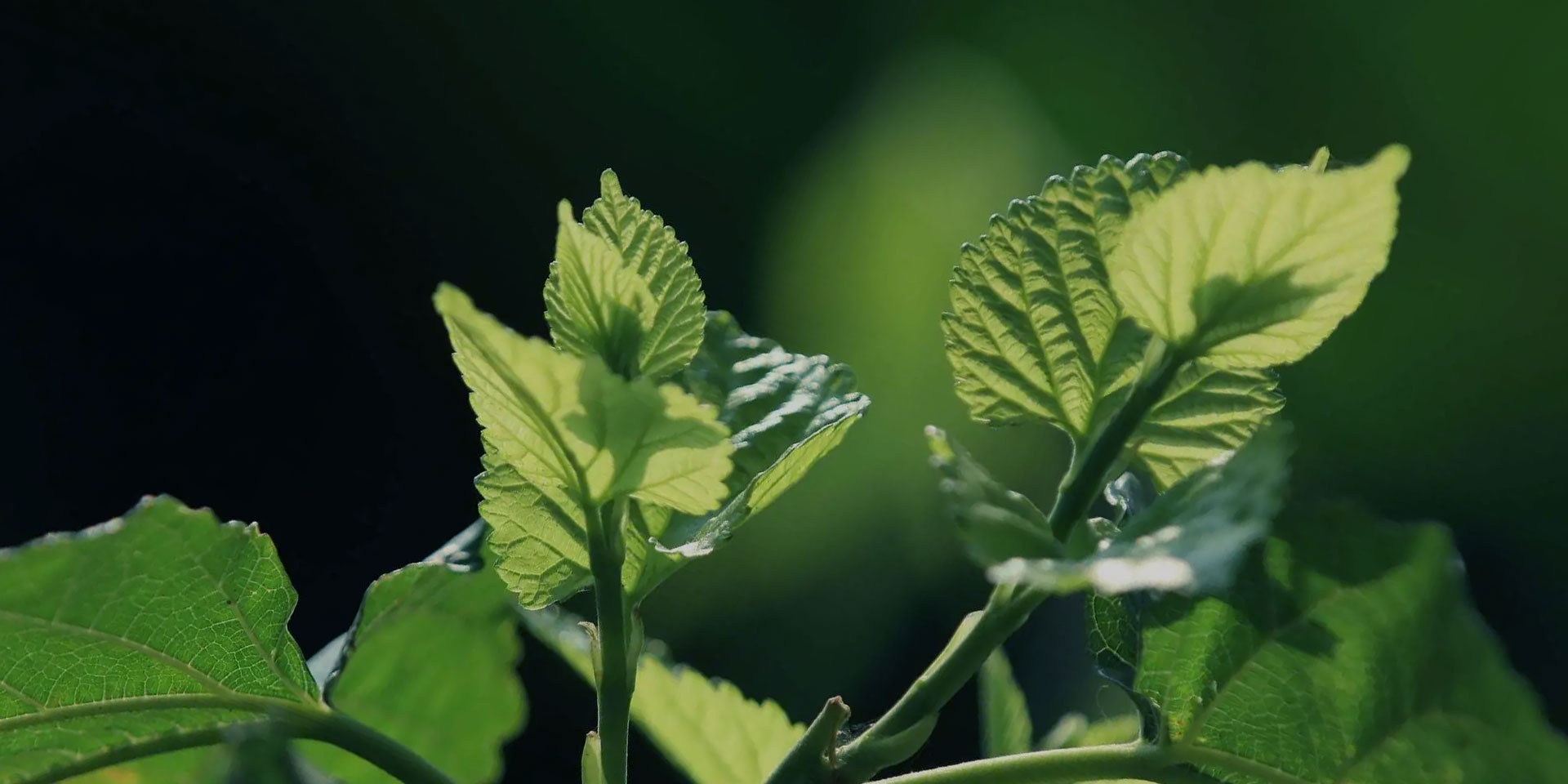 首页|7790必发集团中国官方网站